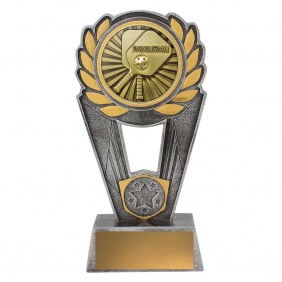 Pickleball Trophy PLS171C - Trophy Land