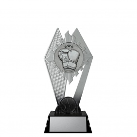 Boxing Trophy PM332A - Trophy Land
