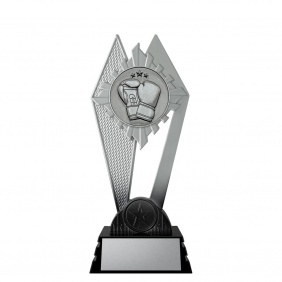 Boxing Trophy PM332B - Trophy Land