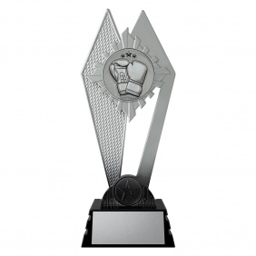 Boxing Trophy PM332C - Trophy Land