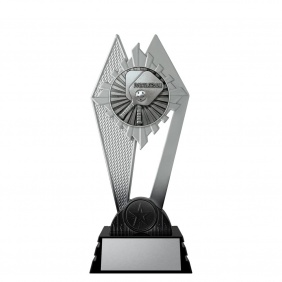 Pickleball Trophy PM371B - Trophy Land