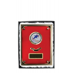 PSR4