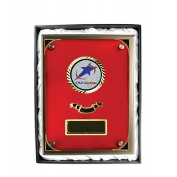 PSR6