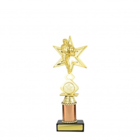 N R L Trophy R16C - Trophy Land