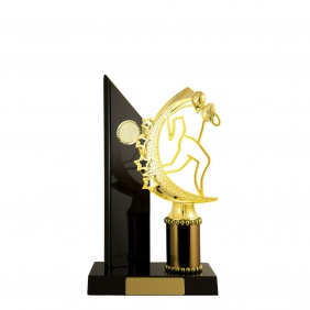 N R L Trophy R26DKC - Trophy Land
