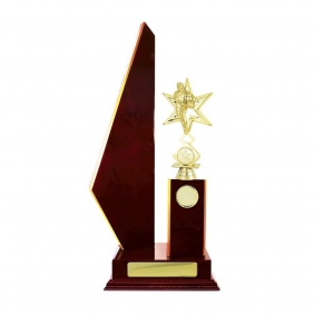 N R L Trophy R27CHE - Trophy Land