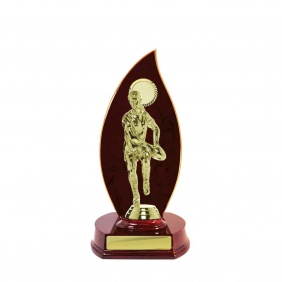 N R L Trophy R30CHB - Trophy Land