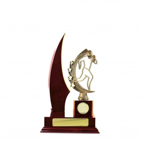 N R L Trophy R33CHB - Trophy Land