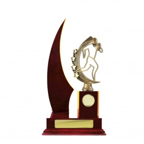 N R L Trophy R33CHC - Trophy Land