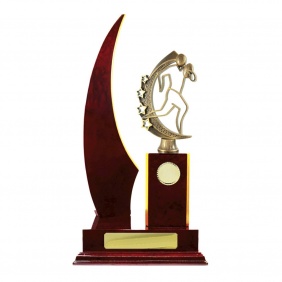 N R L Trophy R33CHD - Trophy Land