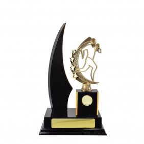 N R L Trophy R33DKC - Trophy Land