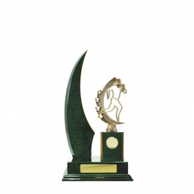 N R L Trophy R33GNB - Trophy Land