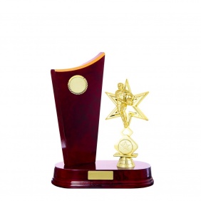 N R L Trophy R39CHA - Trophy Land