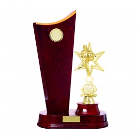 N R L Trophy R39CHC - Trophy Land