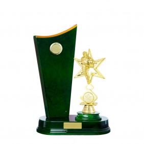 N R L Trophy R39GNB - Trophy Land