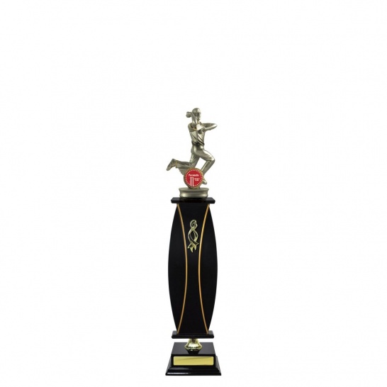 S100DKA - Trophy Land