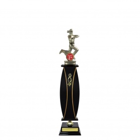 Cricket Trophy S100DKB - Trophy Land