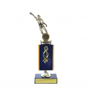 Cricket Trophy S101RBD - Trophy Land