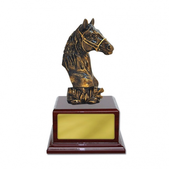 S169 - Trophy Land