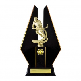 Ice Hockey Trophy S16DKE - Trophy Land Ice Hockey Trophy S16DKE - Trophy Land