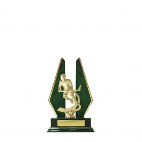 Ice Hockey Trophy S16GNA - Trophy Land Ice Hockey Trophy S16GNA - Trophy Land