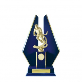 Ice Hockey Trophy S16RBD - Trophy Land Ice Hockey Trophy S16RBD - Trophy Land