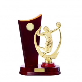 Volleyball Trophy S20CHB - Trophy Land Volleyball Trophy S20CHB - Trophy Land