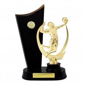 Volleyball Trophy S20DKC - Trophy Land Volleyball Trophy S20DKC - Trophy Land