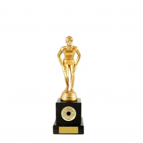 Swimming Trophy S275A - Trophy Land