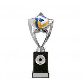 Volleyball Trophy S299B - Trophy Land Volleyball Trophy S299B - Trophy Land
