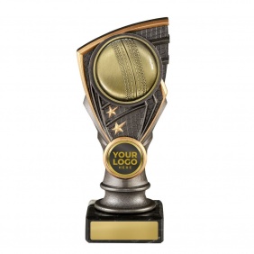 Cricket Trophy S317 - Trophy Land
