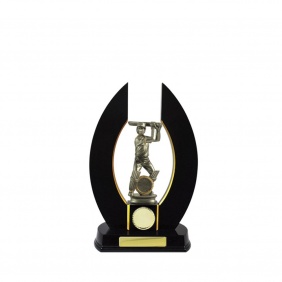Cricket Trophy S99DKA - Trophy Land