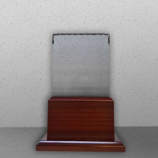 Small Acrylic Display Case - Trophy Land