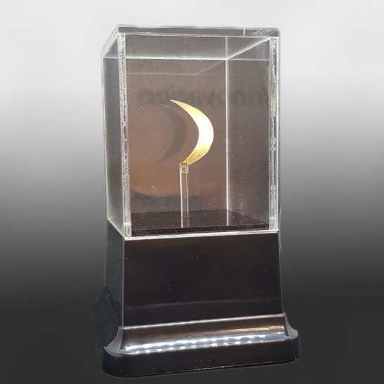 Small Custom Display Case - Trophy Land