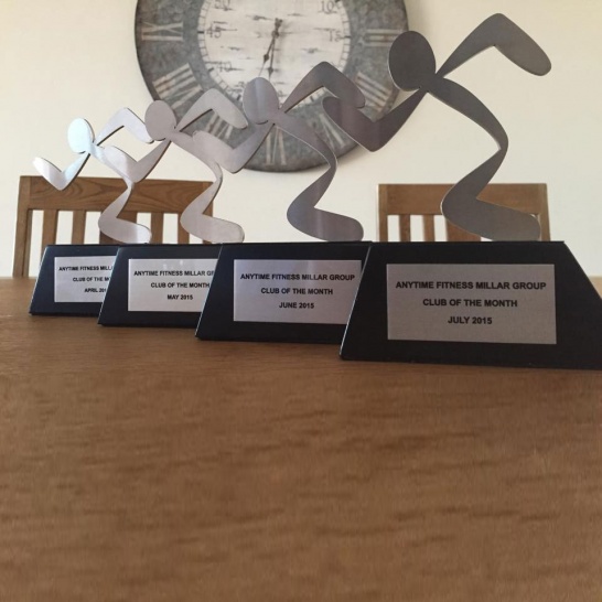 Steel Custom Figures - Trophy Land