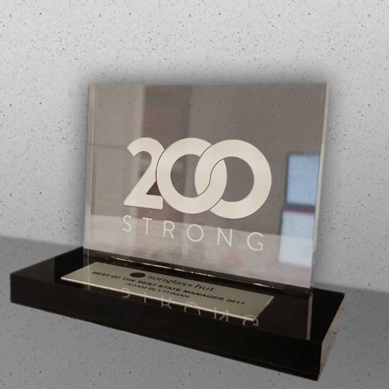 Sunglass Hut Custom Award - Trophy Land