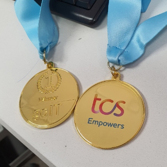 TCS Medals - Trophy Land