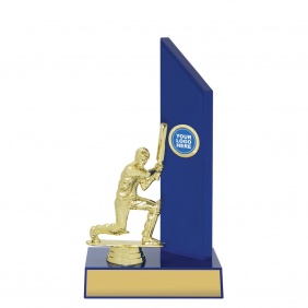 Cricket Trophy TIM38B - Trophy Land