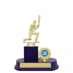 Cricket Trophy TIM43A - Trophy Land