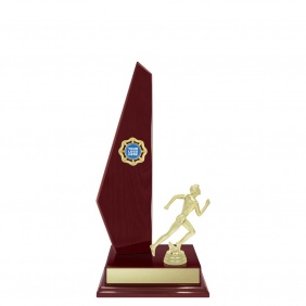 Track And Field Trophy TIM45A - Trophy Land