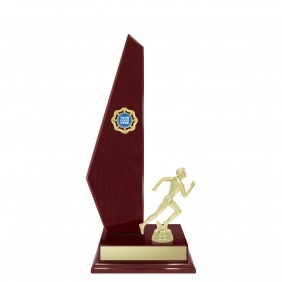 Track And Field Trophy TIM45B - Trophy Land