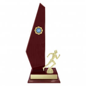 Track And Field Trophy TIM45C - Trophy Land