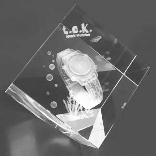 TL3D-D10 - Trophy Land