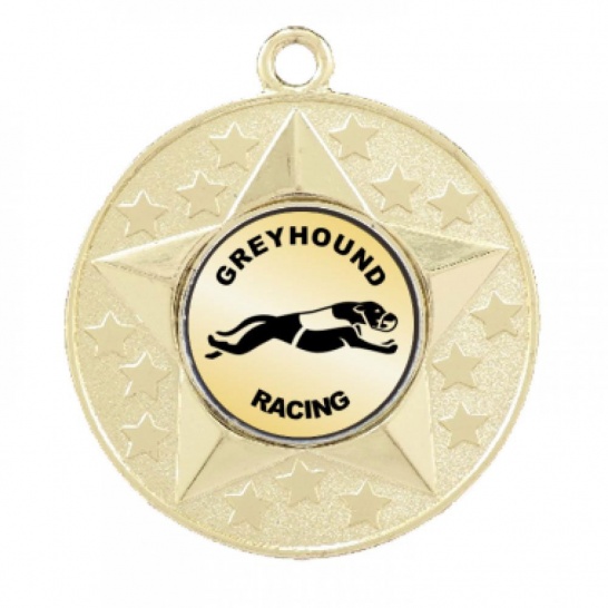 TLM-M156G-1TLGREY - Trophy Land