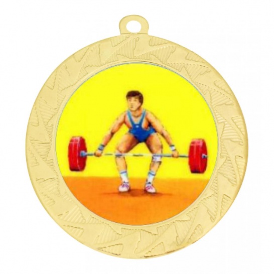 TLM-ME242G-2K182 - Bodybuilding-themed ME242G Medal - 70mm - Trophy Land TLM-ME242G-2K182 - Trophy Land