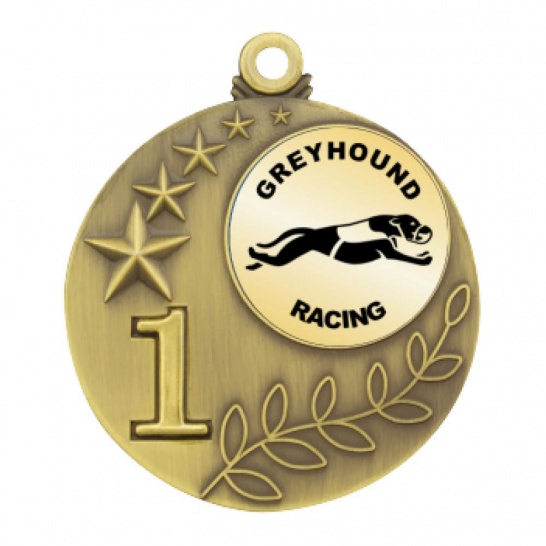 TLM-MT01G-1TLGREY - Trophy Land