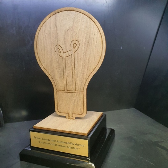 Timber Lightbulb Trophy - Trophy Land