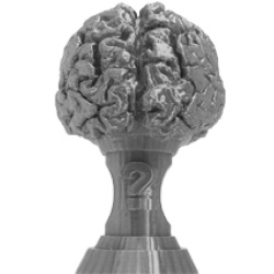 TrivBrainS