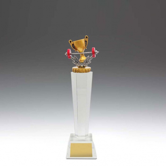 UC62A - Gym Crystal 240mm - Trophy Land UC62A - Trophy Land