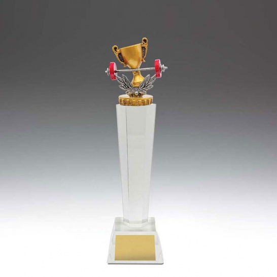 UC62B - Gym Crystal 265mm - Trophy Land UC62B - Trophy Land